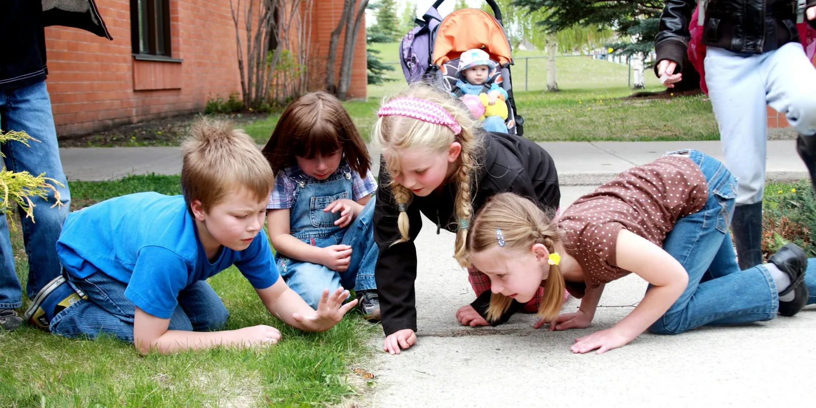 Four children crawl on their hands and knees across a path and lawn