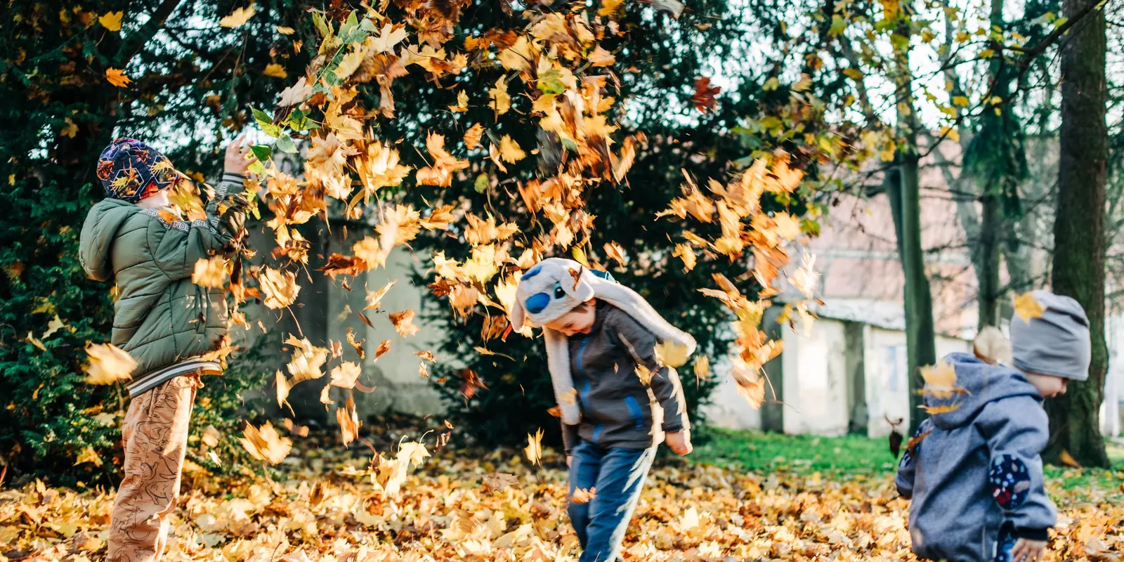 Three young children in coats and hats throw armfuls of fallen leaves into the air under a tree