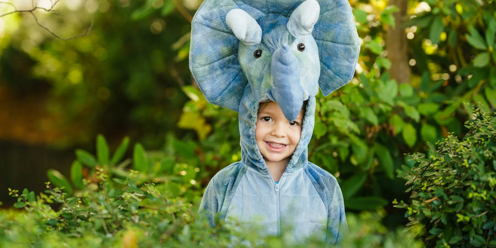 A grinning boy in a triceratops costume peeps out from behind a garden hedge