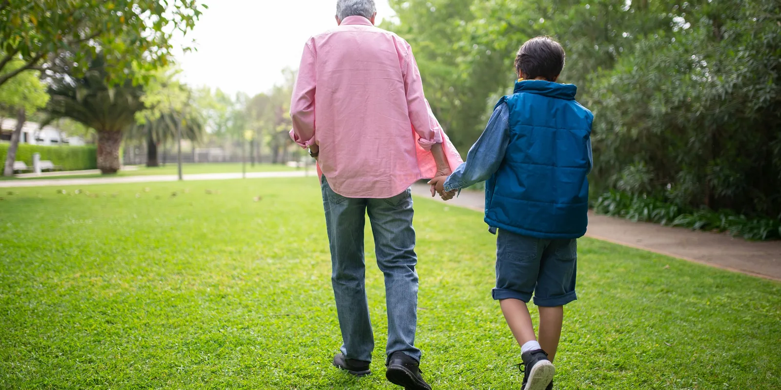 A grey-haired man and a boy walk hand in hand across the grass in a park, seen from behind