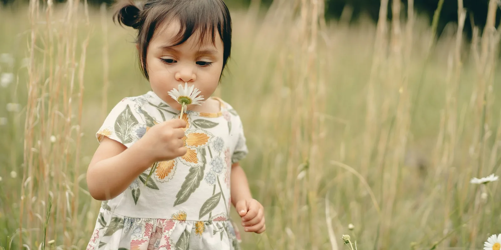 A toddler holds a daisy up to her nose in a field of long grass