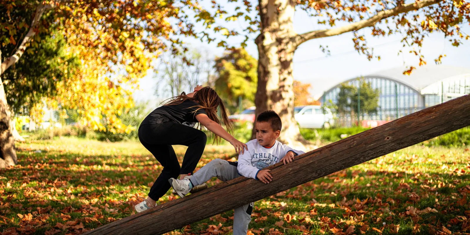 A girl helps a younger boy climb along a sloping log in a park carpeted with autumn leaves