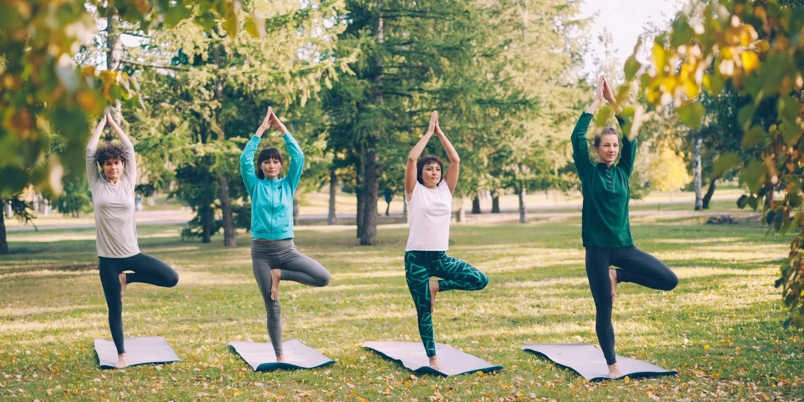 Four women hold tree pose on mats in a sunny park, palms pressed together above their heads