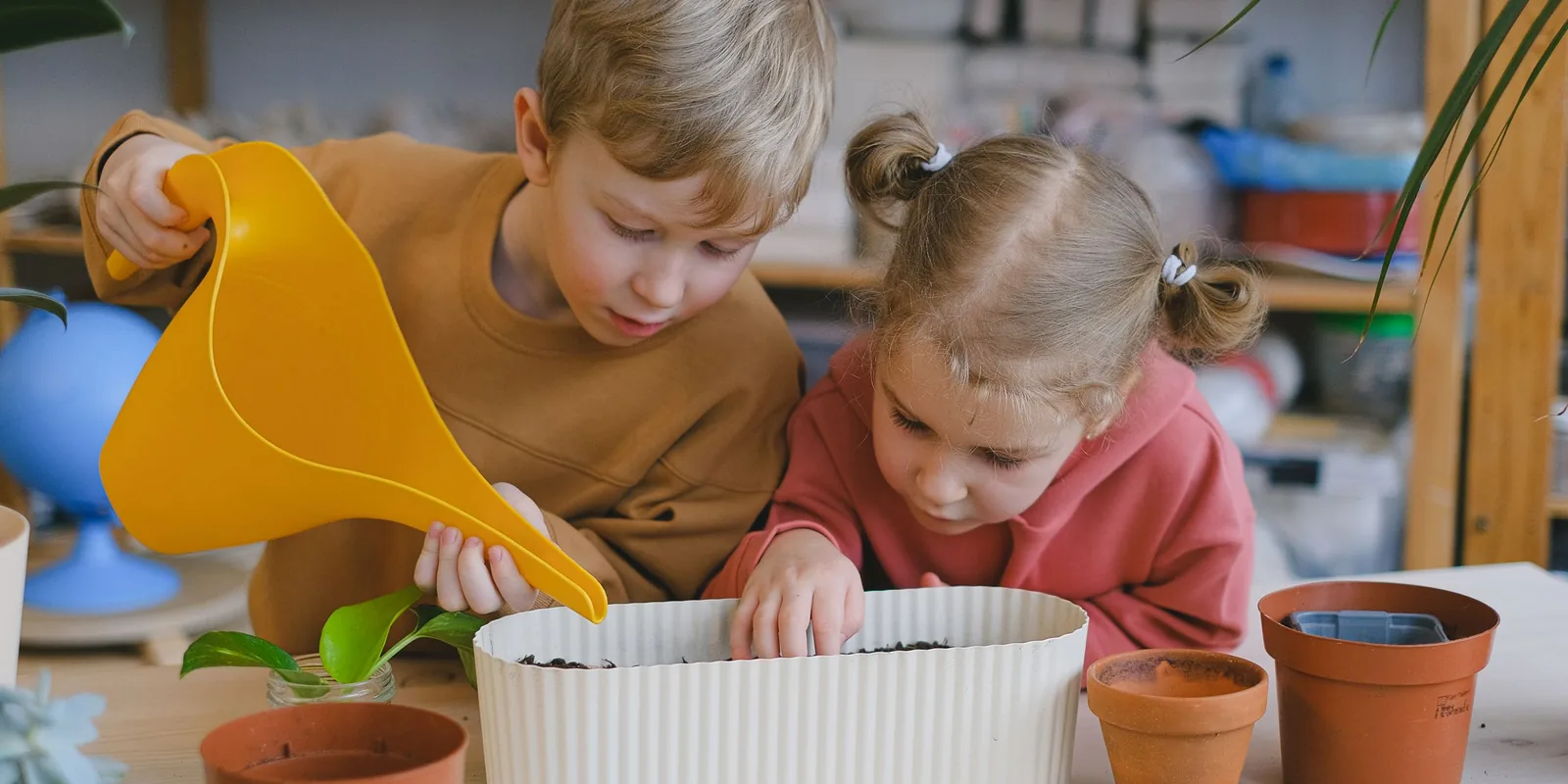 A boy and a girl water and plant seedlings in a pot on a table